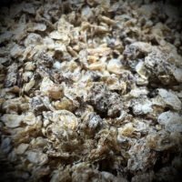 Dried Daphnia - Isopod Gourmet